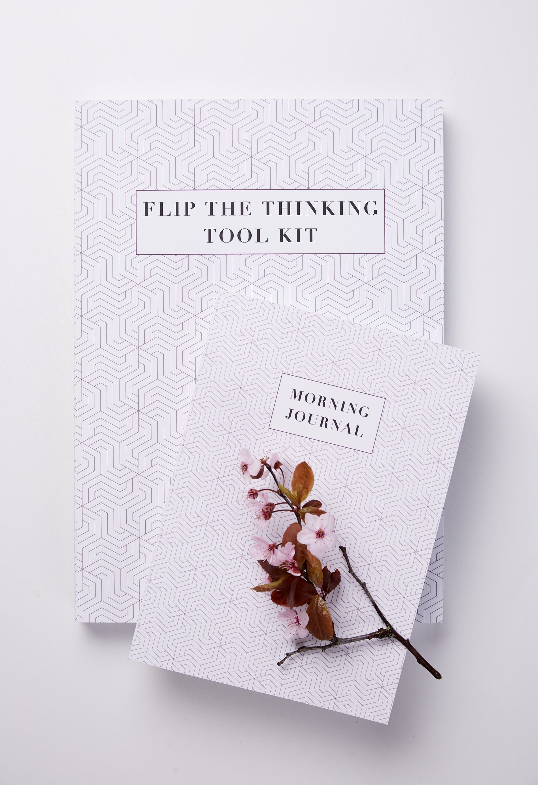 Flip The Thinking Tool Kit